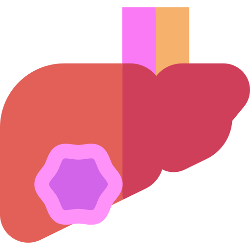 간 암 무료 아이콘