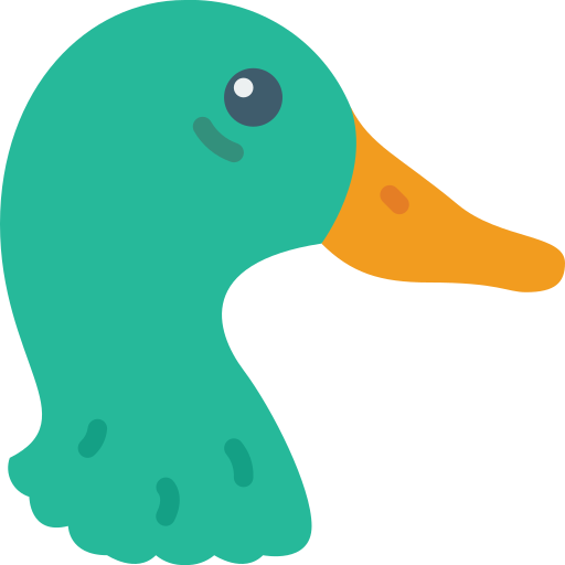 Ducks Basic Miscellany Flat icon