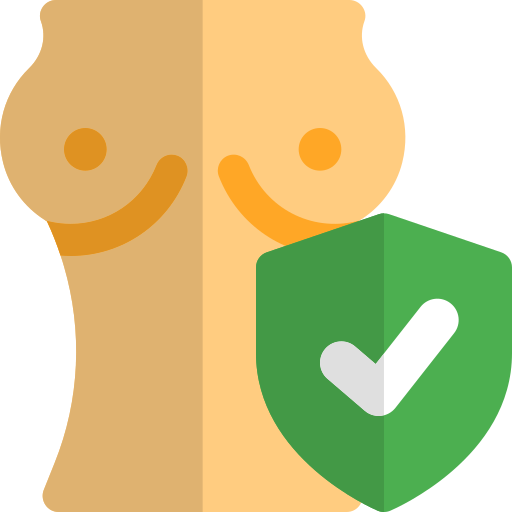 sicherheit kostenlos Icon