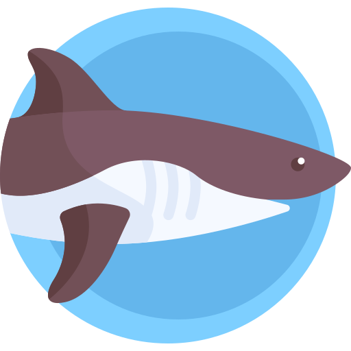 requin Icône gratuit requin Icône gratuit