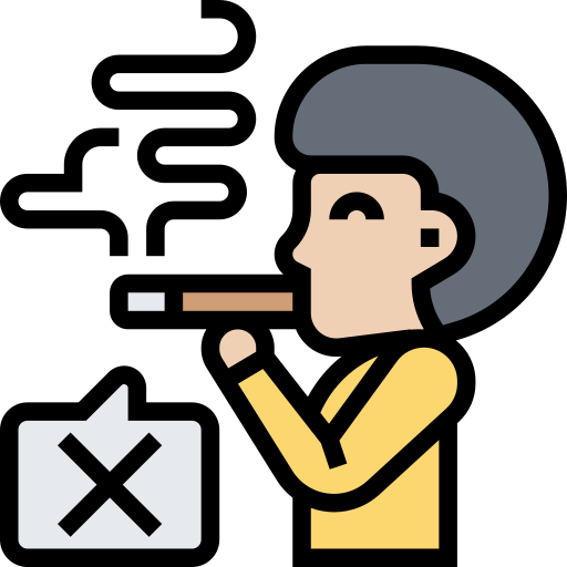 No smoking Meticulous Lineal Color icon