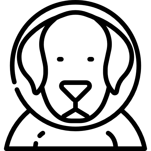 개 무료 아이콘