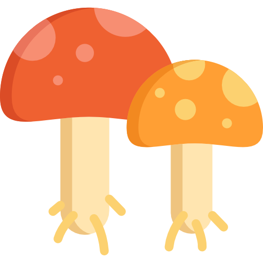 Mushroom Special Flat icon