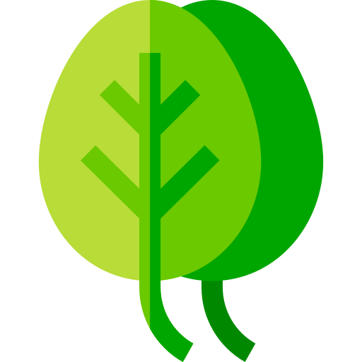spinat kostenlos Icon