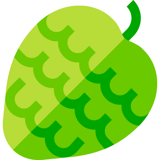 Custard apple free icon Custard apple free icon