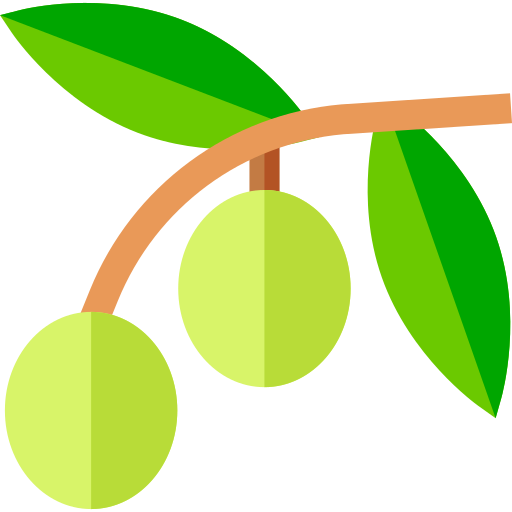 Olives free icon
