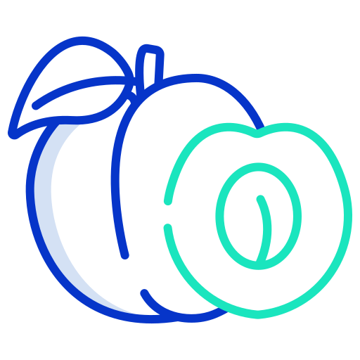 Plum free icon