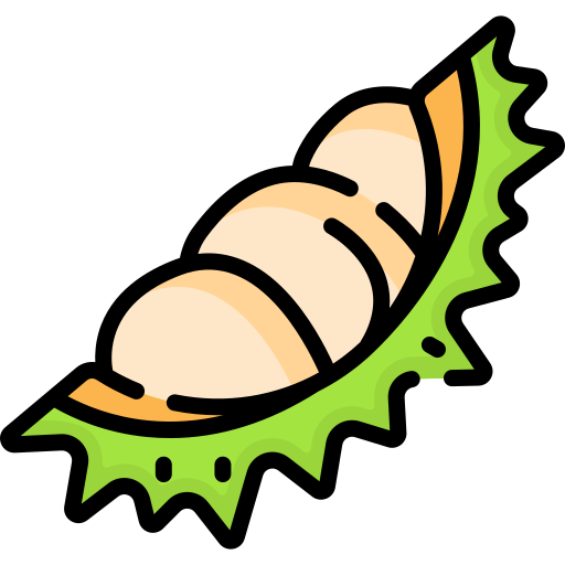 durian grátis ícone