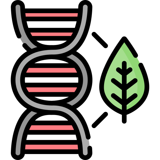 Dna Special Lineal Color Icon