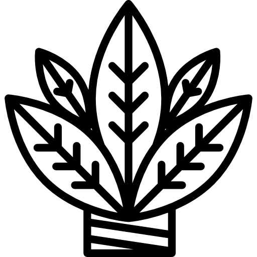 pflanze kostenlos Icon