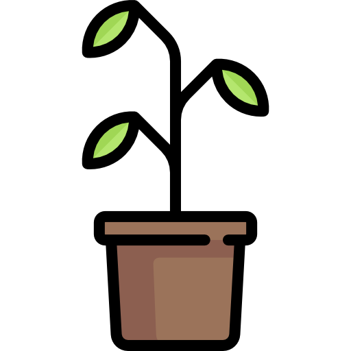 Plant Special Lineal color icon