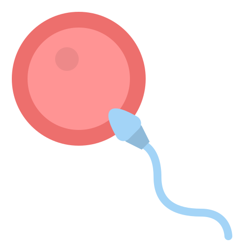 Fertilization Iconixar Flat Icon