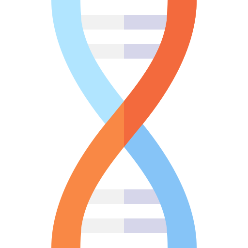 Dna Basic Straight Flat icon