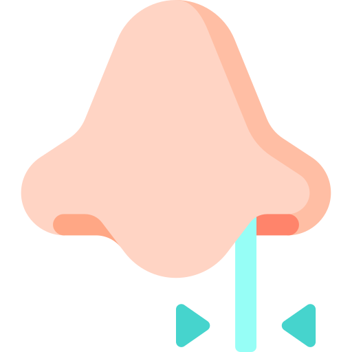 Nasal Special Flat icon