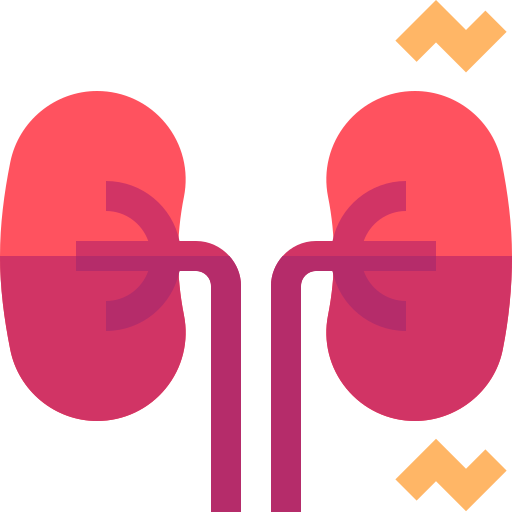 Kidneys free icon Kidneys free icon