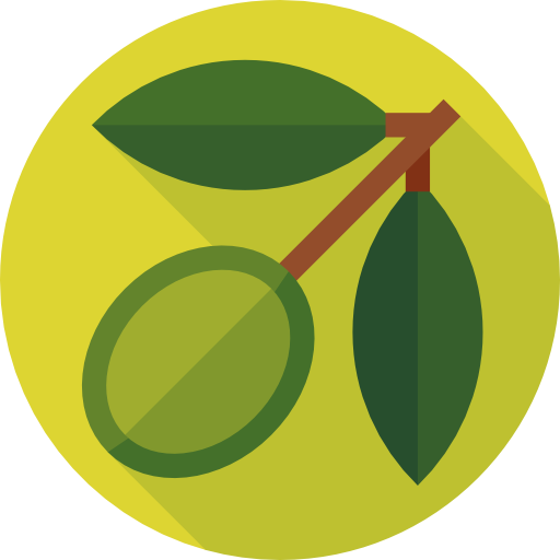 aceituna icono gratis