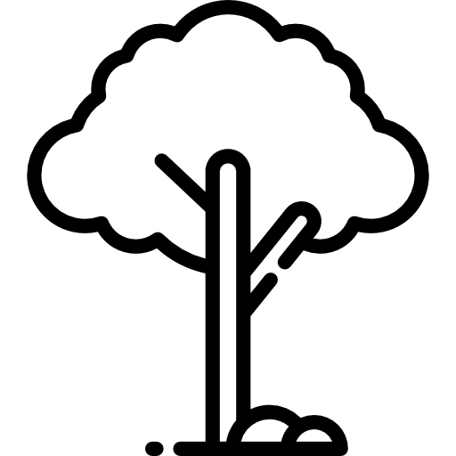 Tree Special Lineal icon