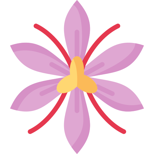 Saffron Special Flat icon