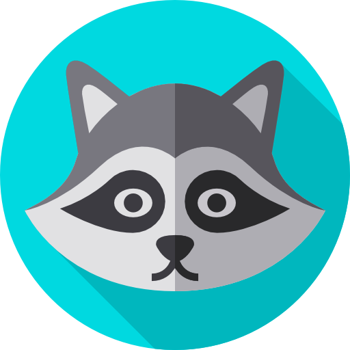 Raccoon Flat Circular Flat icon