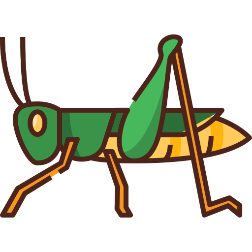 Grasshopper Coloring with Pencil Color and Drawing for Kids | Grasshopper  Coloring with Pencil Color and Drawing for Kids | By Drawing for  KidsFacebook