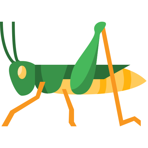 How To Draw A Grasshopper Step By Step 🦗 Grasshopper Drawing Easy | How To  Draw A Grasshopper Step By Step 🦗 Grasshopper Drawing Easy  #Grasshopperdrawing #howtodrawaGrasshopper #drawingforkids  #stepbystepdrawing... | By Super