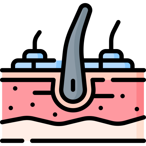 Seborrheic dermatitis Special Lineal color icon