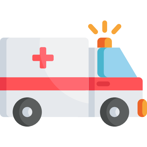 Ambulance Special Flat Icon