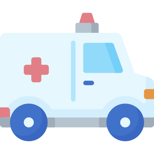 Ambulance Special Flat icon