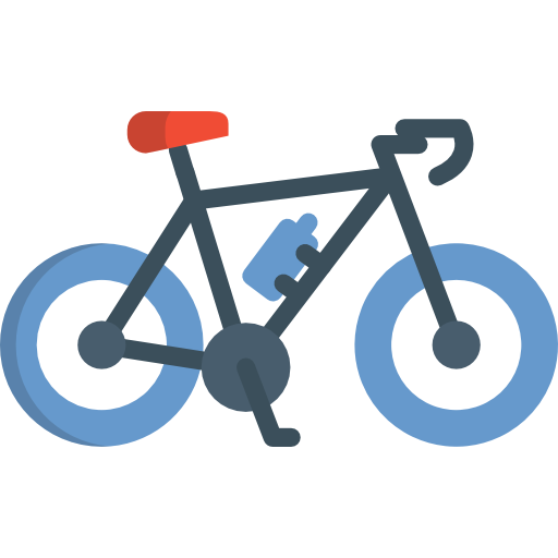 Bicycle Special Flat icon