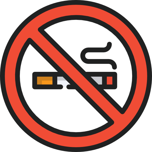 No smoking Special Lineal color icon