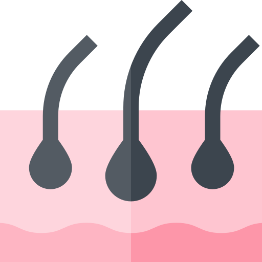 Dermis Basic Straight Flat icon