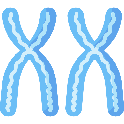 Chromosomes Special Flat icon