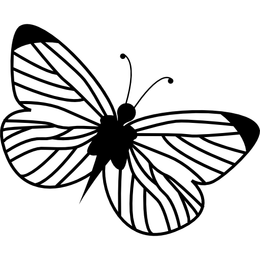 papillon Icône gratuit