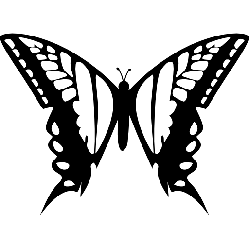 diseño de mariposa de dos alas grandes desde la vista superior icono gratis