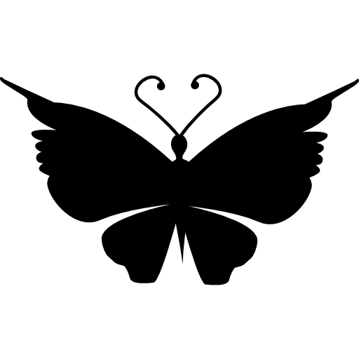 Butterfly top view black shape - Free animals icons