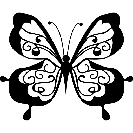 linda vista superior de la mariposa icono gratis