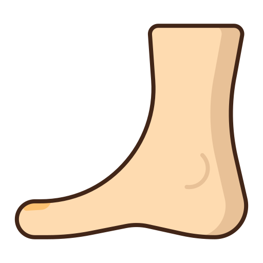 Feet Flaticons Lineal Color icon