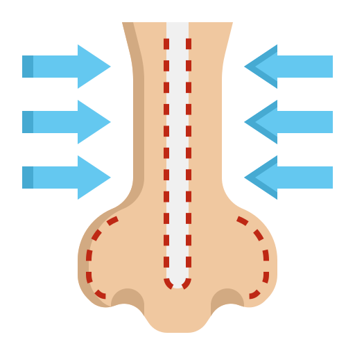rinoplastia icono gratis