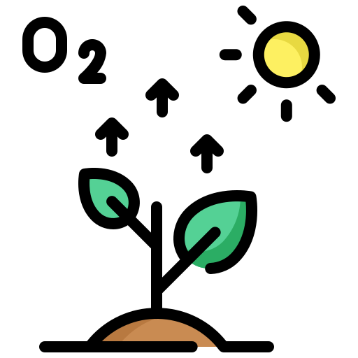 fotosíntesis icono gratis