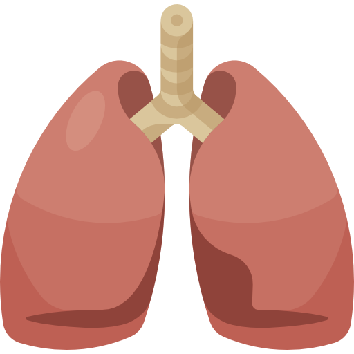 Lungs free icon Lungs free icon