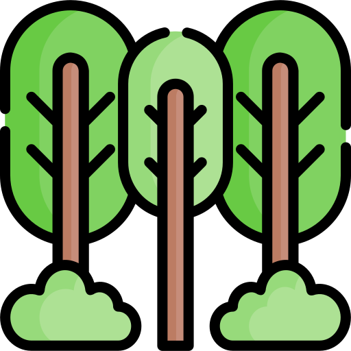 Forest Special Lineal color icon