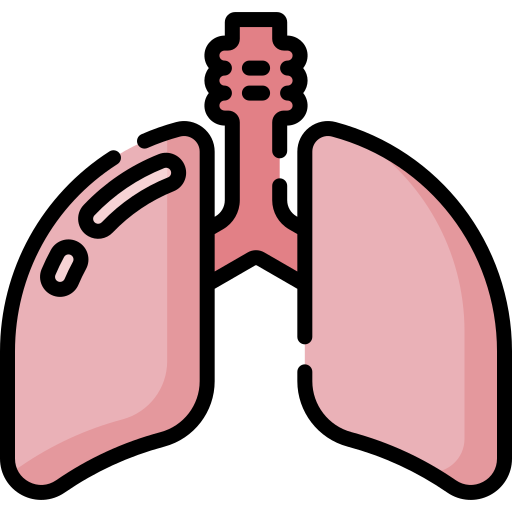 Lungs Special Lineal color icon