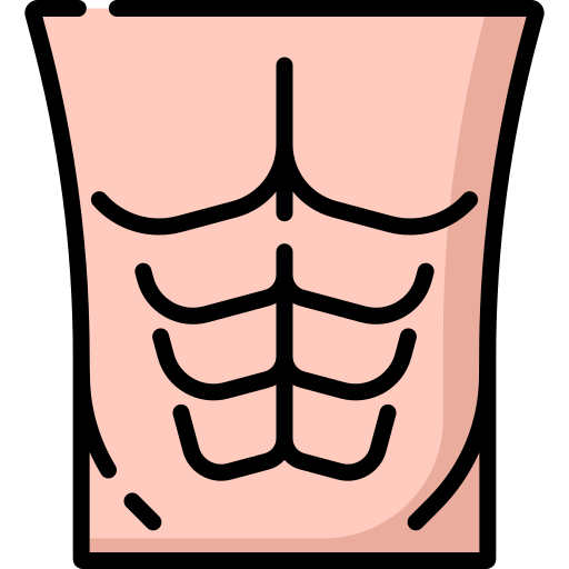 Sixpack abs Icon - Download in Colored Outline Style