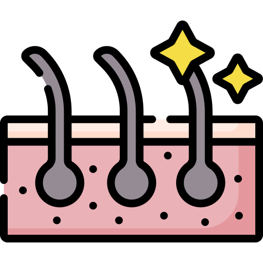 Dermis - Free medical icons