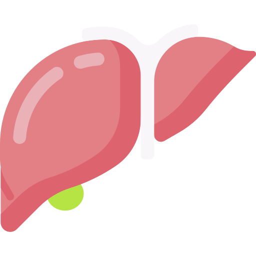 Liver Special Flat icon