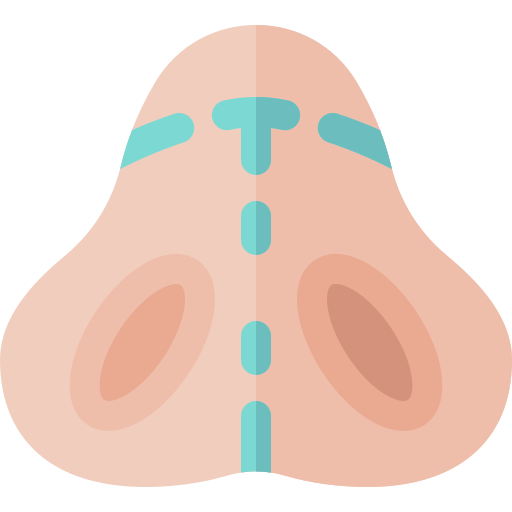 Rhinoplasty Basic Rounded Flat icon