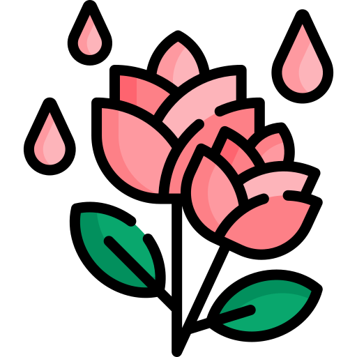 rosa icono gratis