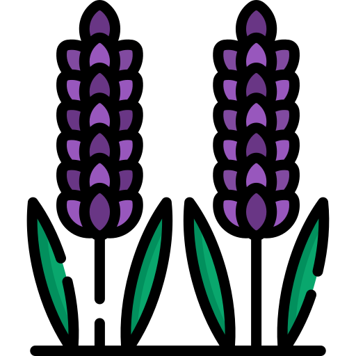 lavanda icono gratis