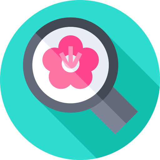 Search free icon