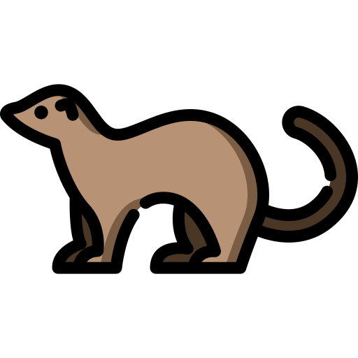 free clipart ferret